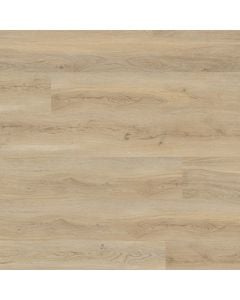 plank image for MSI-13714