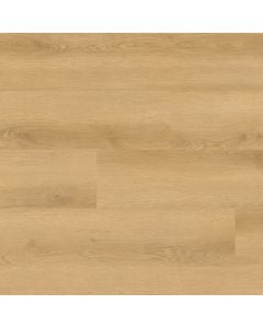 plank image for MSI-13788