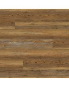 plank image for MSI-13691