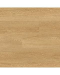 plank image for MSI-11261
