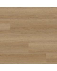 plank image for MSI-11262