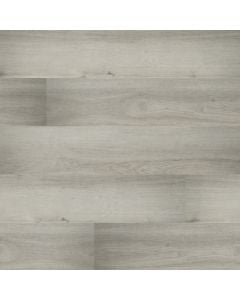 plank image for MSI-3862
