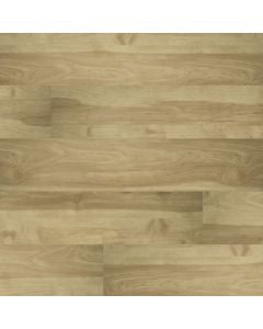 plank image for MSI-3863