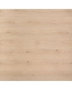 plank image for MSI-13264