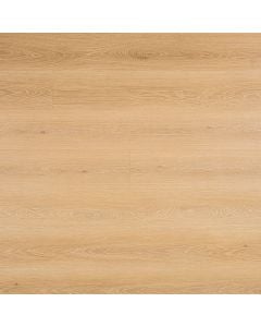 plank image for MSI-13266