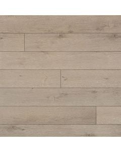 plank image for MSI-11243
