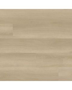 plank image for MSI-11264