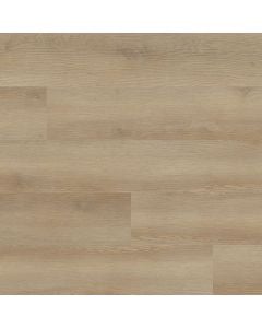 plank image for MSI-11265