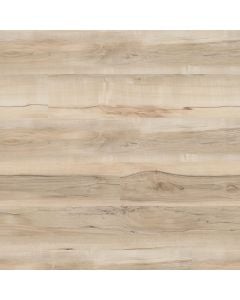 plank image for MSI-13358
