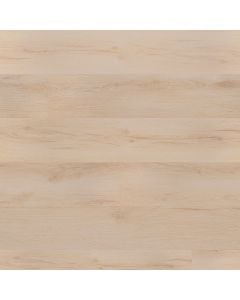 plank image for MSI-13361