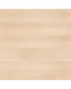 plank image for MSI-13365