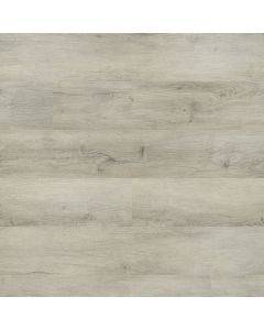 plank image for MSI-13367