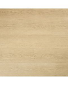 plank image for MSI-11268