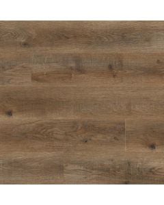 plank image for MSI-2876