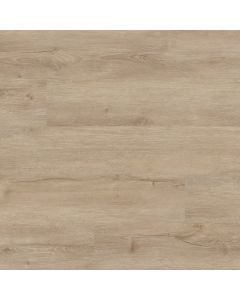 plank image for MSI-13837