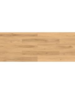 Megaclic Prince MCDN-8710 — close-up plank, overhead view