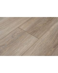 PROVENZA RULE BREAKER PRO2624 MODA LIVING COLLECTION