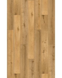 RADIANCE CLICK PLANK