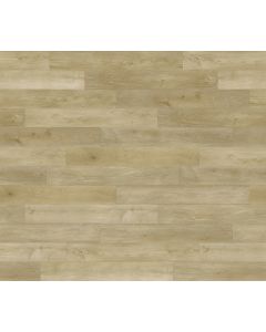 PARADIGM ROYALTY CON2040PAD CONQUEST COLLECTION