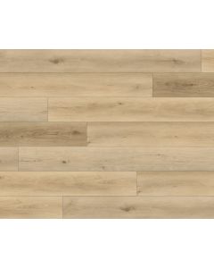 PARADIGM RYE PPSPC2026 PERFORMER 20MM COLLECTION