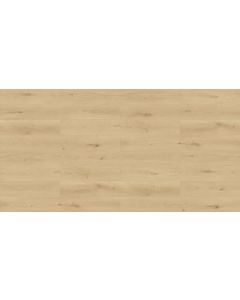 Megaclic Sanara MCST-2306 — close-up plank, overhead view
