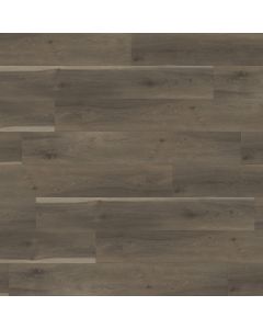 PARADIGM SANDPIPER PPPSPC2029 PERFORMER PLUS COLLECTION