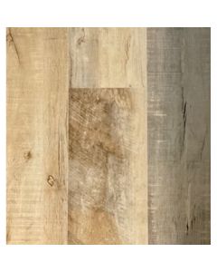 SANTA CRUZ, SC6583, PACIFIC BEAUTY, ECO TREE DYNAMICS
