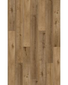 SOLANDRA CLICK PLANK