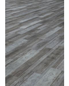 SUGAR MAPLE, ETP744XPE, PROVINCIAL, BY ETERNITY