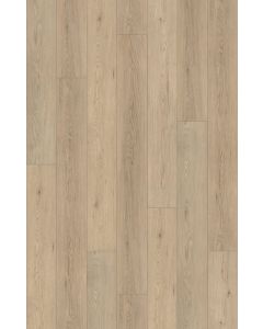 SUNLIGHT CLICK PLANK