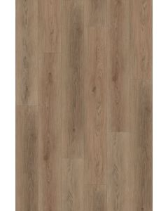 SYLVAN CLICK PLANK