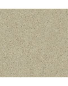 Shaw CRUSADER Big Chill Carpet - SH-00408-00001