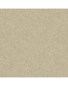 Shaw CRUSADER Seven Hills Carpet - SH-00408-00002