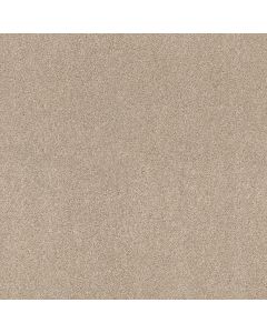 Shaw ACROSS THE BAY Delicate Carpet - SH-043PT-00113