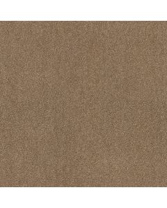Shaw ACROSS THE BAY Saddle Carpet - SH-043PT-00228