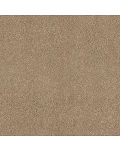 Shaw ACROSS THE BAY Farro Carpet - SH-043PT-00237