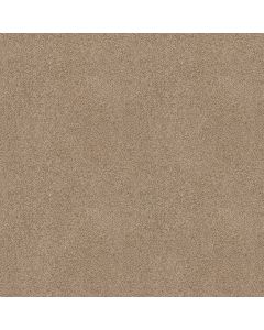 Shaw ACROSS THE BAY Wicker Carpet - SH-043PT-00273