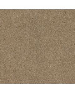 Shaw ACROSS THE BAY Carmelo Carpet - SH-043PT-00275