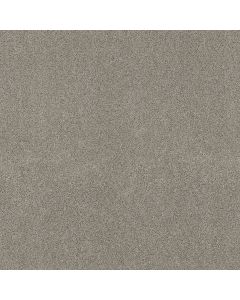 Shaw ACROSS THE BAY Shadow Carpet - SH-043PT-00534