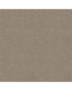 Shaw ACROSS THE BAY Mushroom Carpet - SH-043PT-00725