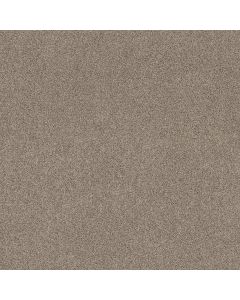 Shaw ACROSS THE BAY Caribou Carpet - SH-043PT-00756
