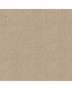 Shaw ALWAYS MINE Delicate Carpet - SH-044PT-00113