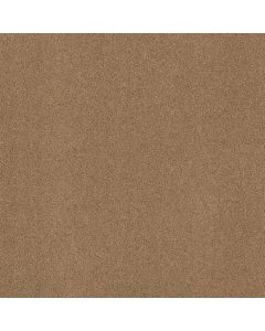 Shaw ALWAYS MINE Saddle Carpet - SH-044PT-00228