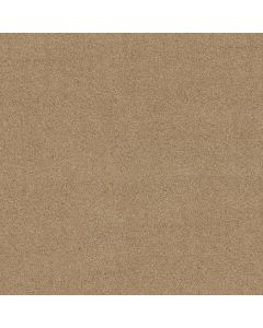 Shaw ALWAYS MINE Farro Carpet - SH-044PT-00237