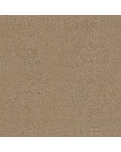 Shaw ALWAYS MINE Wicker Carpet - SH-044PT-00273