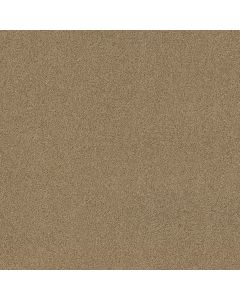 Shaw ALWAYS MINE Carmelo Carpet - SH-044PT-00275