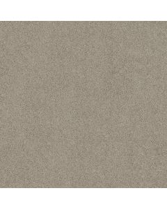 Shaw ALWAYS MINE Shale Carpet - SH-044PT-00512