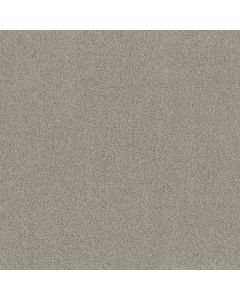 Shaw ALWAYS MINE Celtic Carpet - SH-044PT-00523