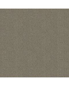 Shaw ALWAYS MINE Elusive Carpet - SH-044PT-00537