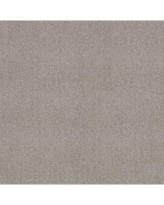 Shaw ALWAYS MINE Silver Screen Carpet - SH-044PT-00542